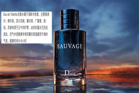 (香評) Dior【Sauvage】曠野之心 